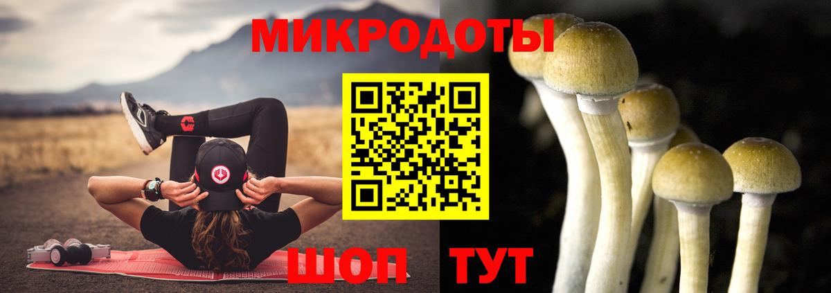 Псилоцибиновые грибы мицелий  Вход с VPN  Зеленокумск 